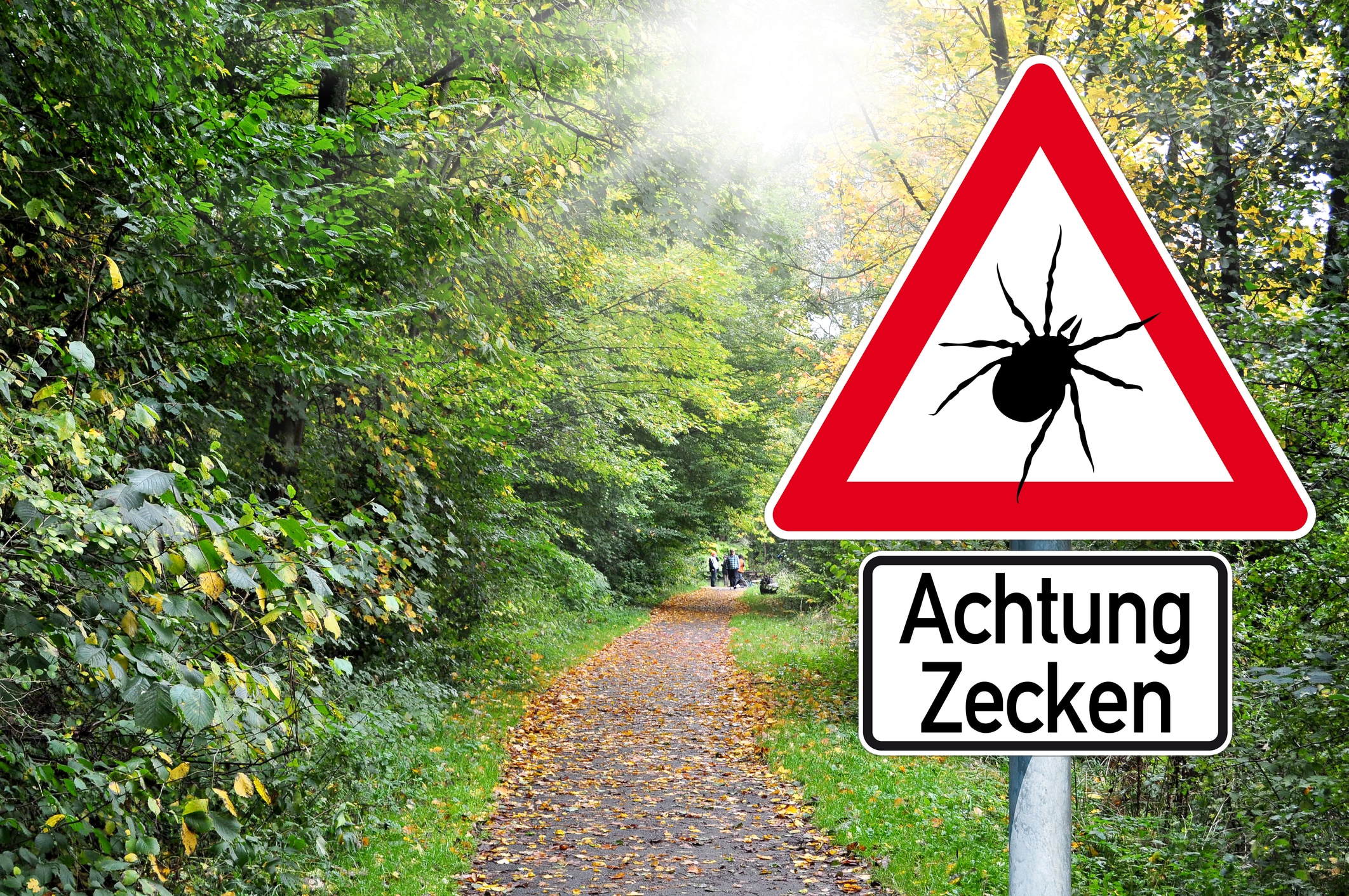 Achtung Zecken.